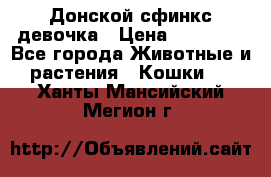 Донской сфинкс девочка › Цена ­ 15 000 - Все города Животные и растения » Кошки   . Ханты-Мансийский,Мегион г.